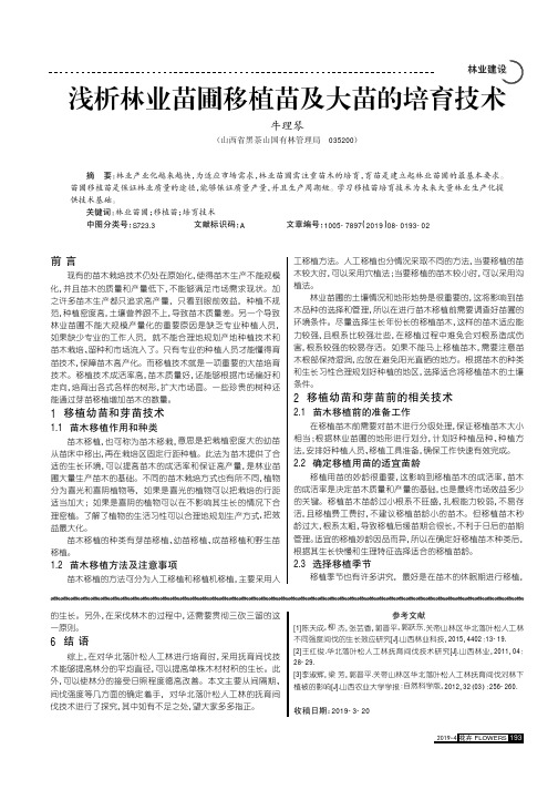 浅析林业苗圃移植苗及大苗的培育技术