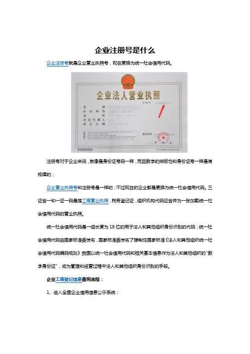 企业注册号是什么