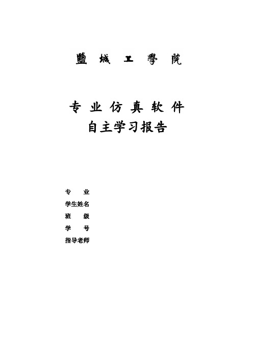 专业仿真软件课程实训报告