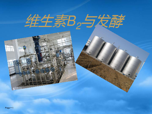 生物工艺学 维生素b2的发酵
