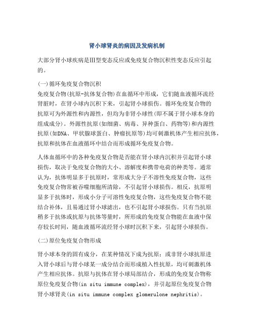 肾小球肾炎的病因及发病机制