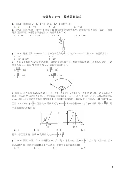【精品】中考数学总复习 第二轮 中考题型专题 专题复习(一)数学思想方法试题及答案