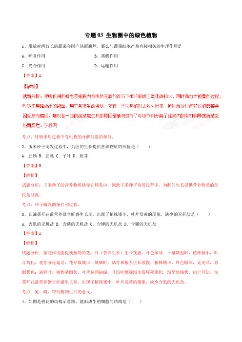 生物圈中的绿色植物-最新中考生物试题分项版解析汇编(解析版)