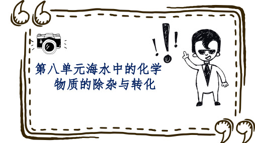 人教版九年级化学下册第八单元海水中的化学物质的除杂与转化课件