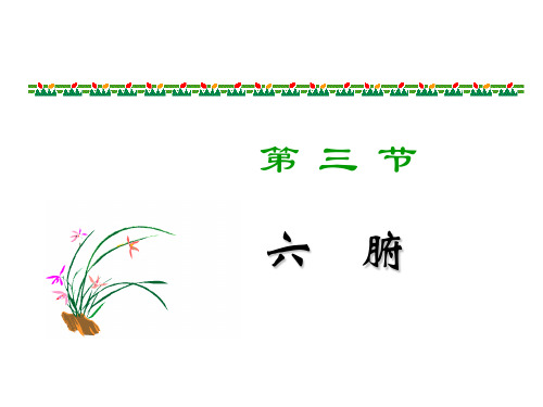 六腑奇恒之腑脏腑之间关系.ppt