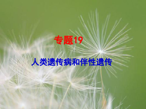 人类遗传病和伴性遗传PPT教学课件