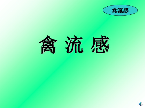 禽流感培训PPT课件