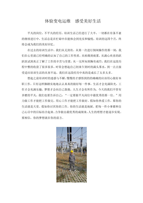 国家电网变电运维培训心得