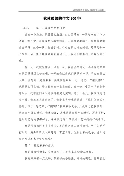 我爱弟弟的作文300字