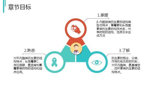 抗生素的结构类型与特点