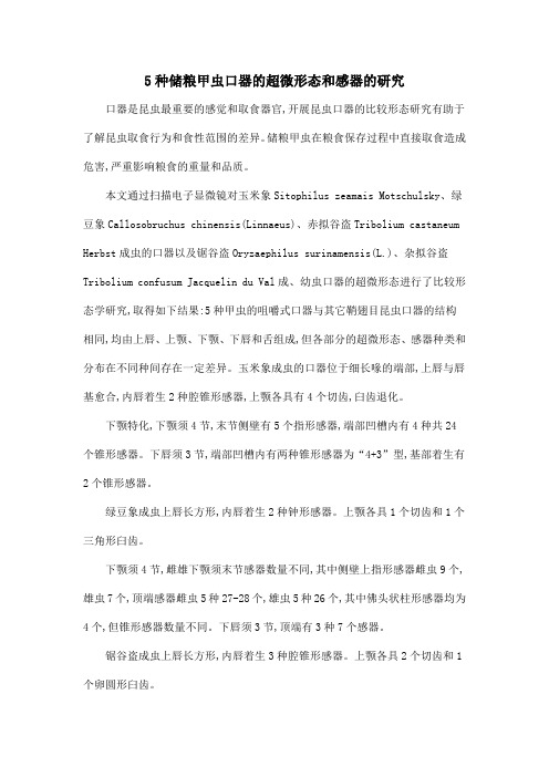 5种储粮甲虫口器的超微形态和感器的研究
