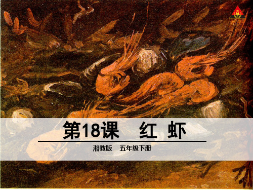 18 红虾PPT课件