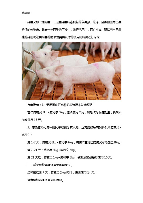 猪瘟有什么药可以治