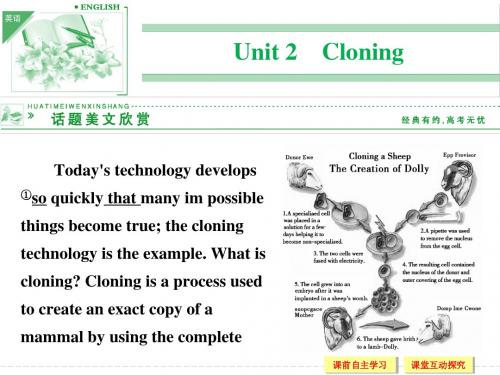 【创新设计】2014-2015学年高中英语配套课件：选修8 Unit 2 Period 1(人教版,重庆专用)