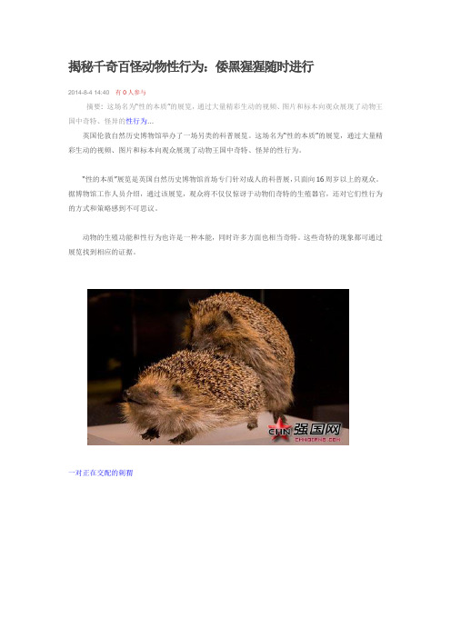 揭秘千奇百怪动物性行为