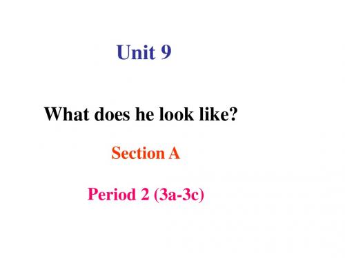 山东省沂南县张庄镇初级中学Unit 9 What does he look like Section A-2备课课件 人教新目标版七年级下