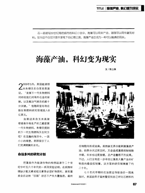 海藻产油,科幻变为现实