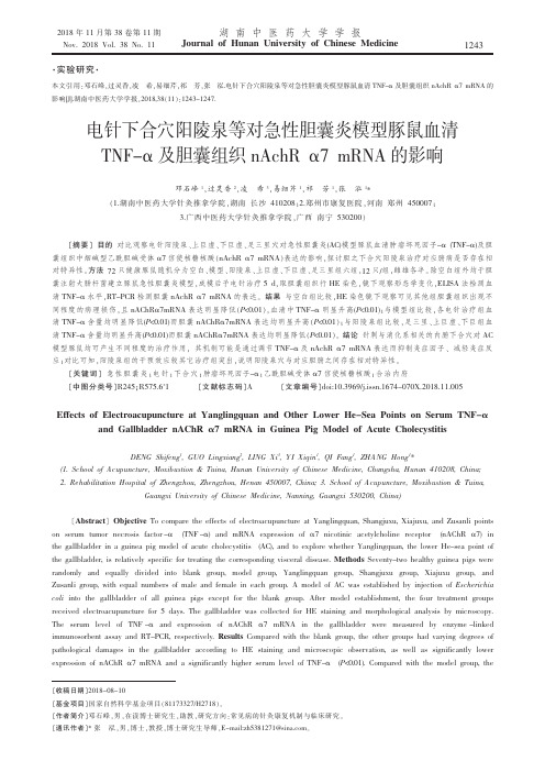 电针下合穴阳陵泉等对急性胆囊炎模型豚鼠血清TNF-α及胆囊组织nAchR α7 mRNA的影响