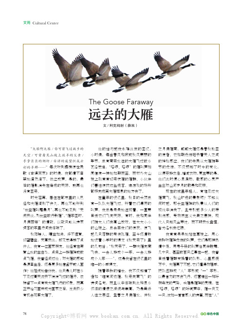 远去的大雁
