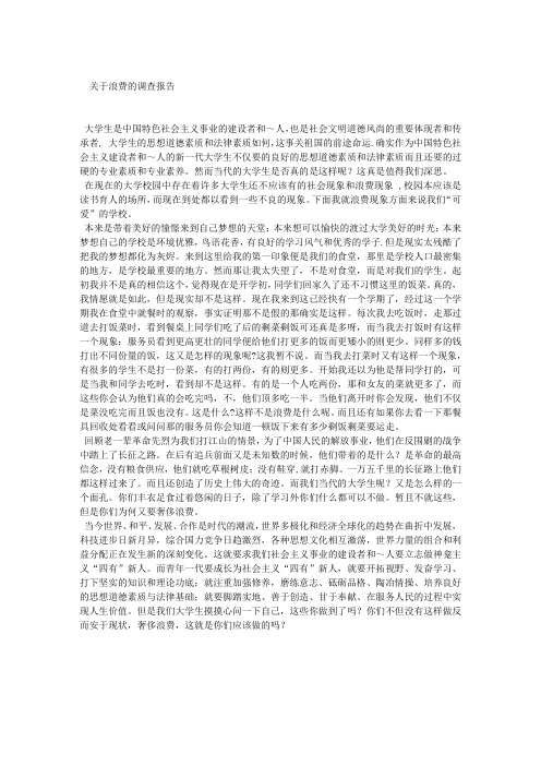 关于浪费的调查报告