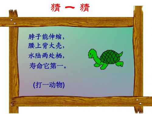 语文版七年级上册《犟龟》完整版课件