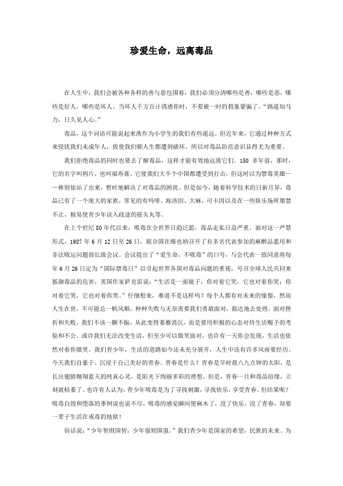 禁毒   征文3篇