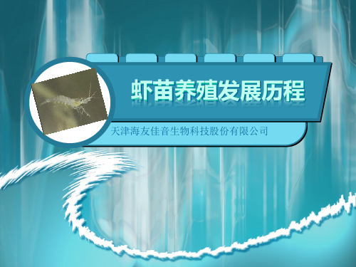 虾苗养殖发展历程