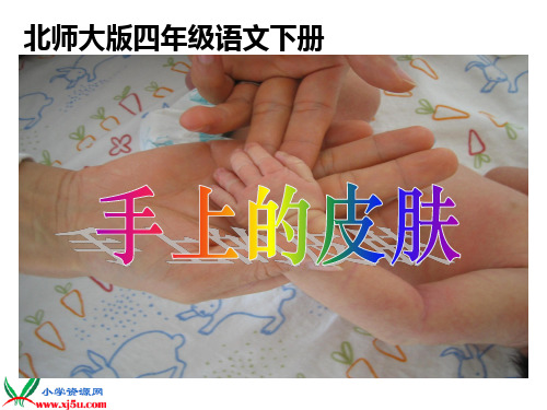 北师大版四年级语文下册《手上的皮肤 2》PPT课件