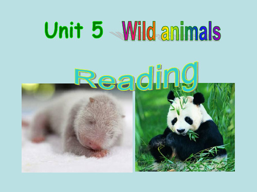 牛津译林英语八年级上册unit5Reading 1(共24张PPT)