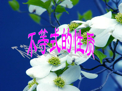 人教版七年级下册 第九章9.1.2不等式的性质课件(共16张PPT)