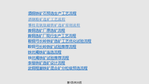 常见铁矿选矿工艺流程图PPT课件