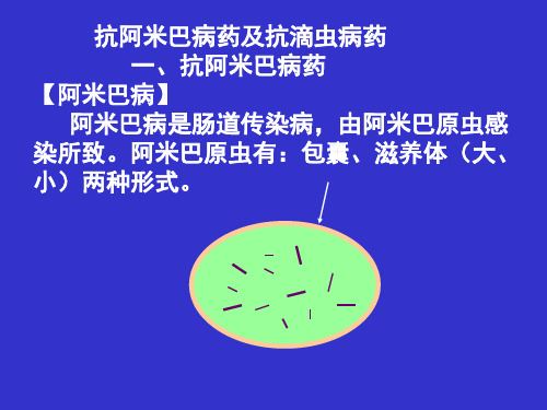 抗阿米巴病药及抗滴虫病药