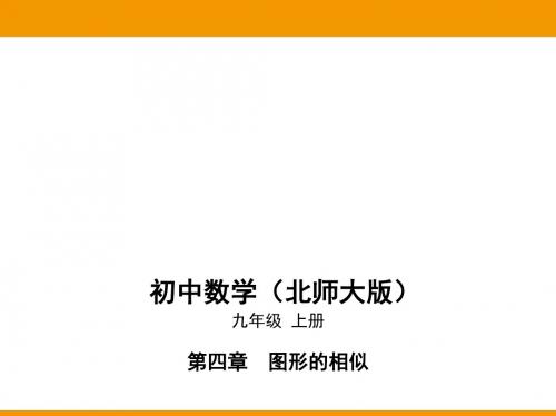 06-第四章7相似三角形的性质