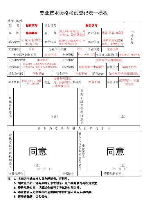 专业技术资格考试登记表--模板