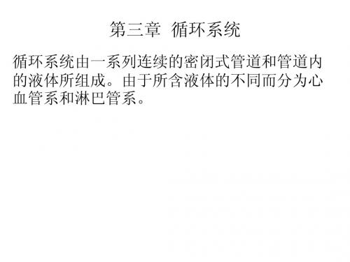 人体组织解剖循环系统
