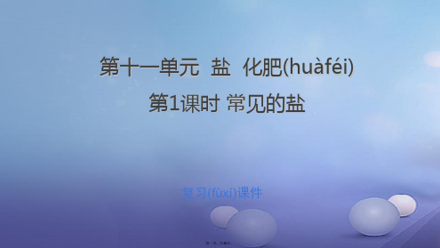 江西省中考化学总复习第11单元盐化肥第1课时常见的盐课件