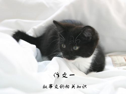 中职高职第二册语文写作 记叙与议论