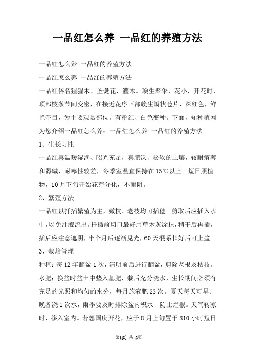 一品红怎么养 一品红的养殖方法