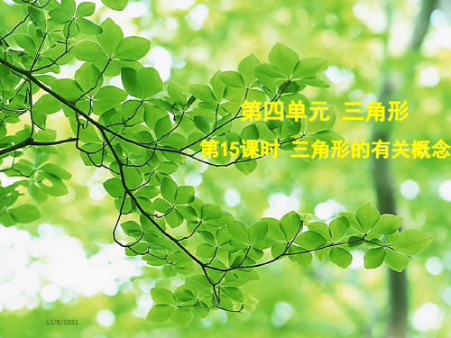 中考数学总复习 第四单元 三角形 第15课时 三角形的有关概念(考点突破)课件