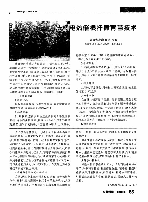 法桐电热催根扦插育苗技术