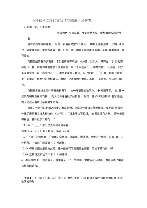 小升初语文现代文阅读专题练习及答案