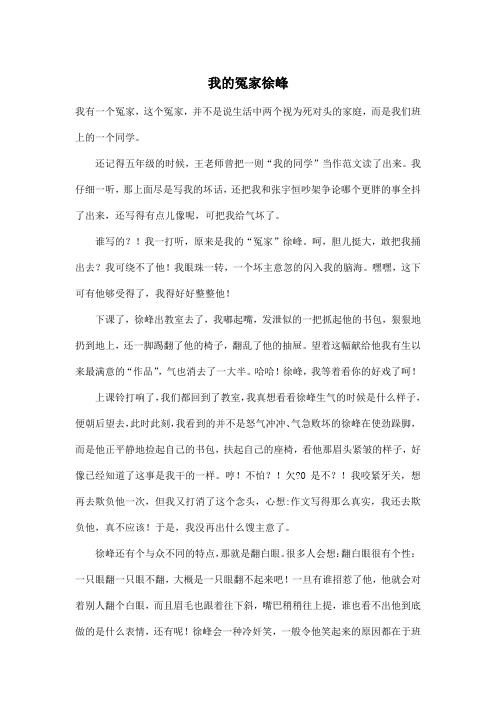 我的冤家徐峰_小学六年级作文900字