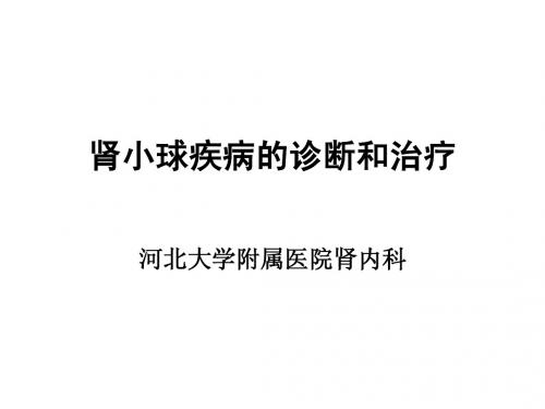 肾小球疾病概述