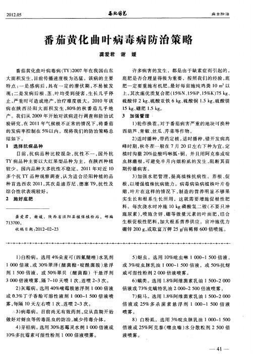 番茄黄化曲叶病毒病防治策略