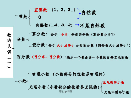人教版六年级下册数学总复习数的认识PPT课件