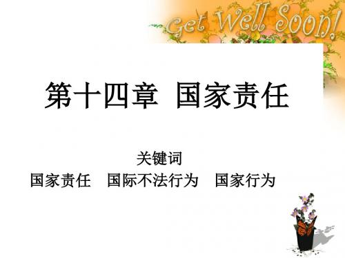 第十四章 国家责任