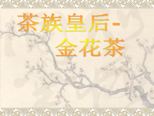 金花茶简介课件