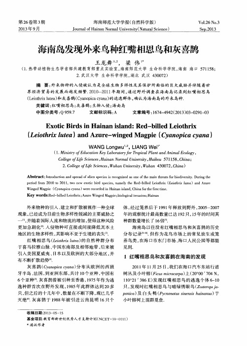 海南岛发现外来鸟种红嘴相思鸟和灰喜鹊