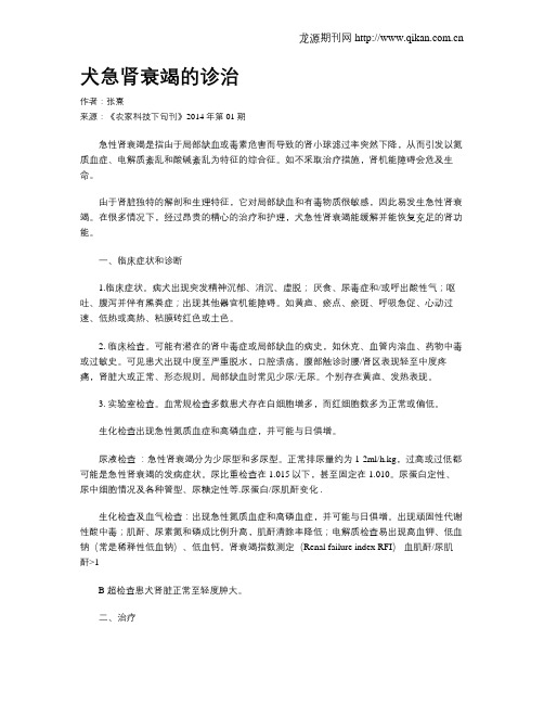 犬急肾衰竭的诊治