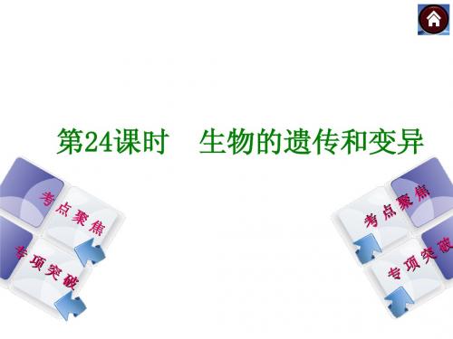 生物的遗传和变异复习 (1)